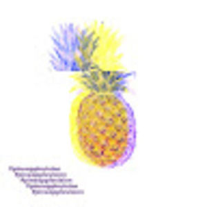 Meet your Posher, Apparel